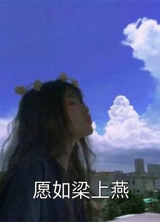 愿如梁上燕小说