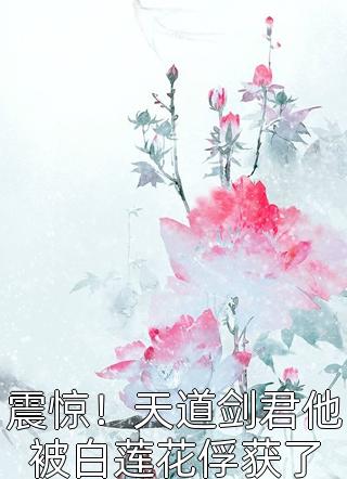 震惊！天道剑君他被白莲花俘获了小说