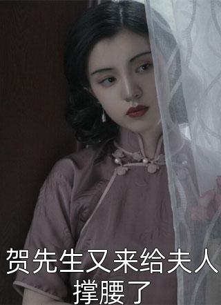 贺先生又来给夫人撑腰了小说