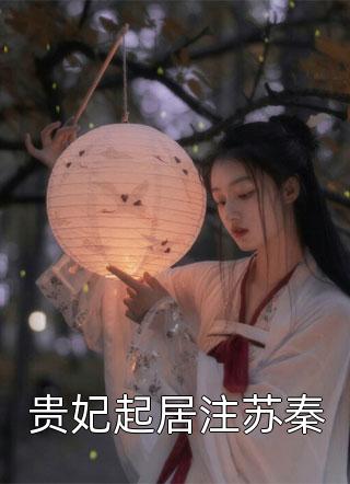 贵妃起居注苏秦小说