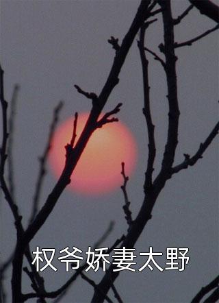 权爷娇妻太野小说