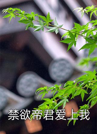 禁欲帝君爱上我小说