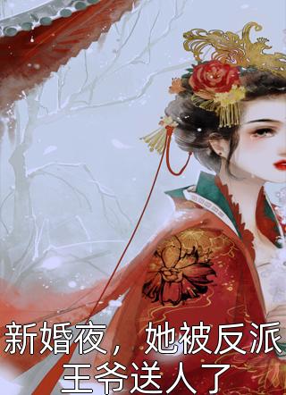 新婚夜，她被反派王爷送人了小说