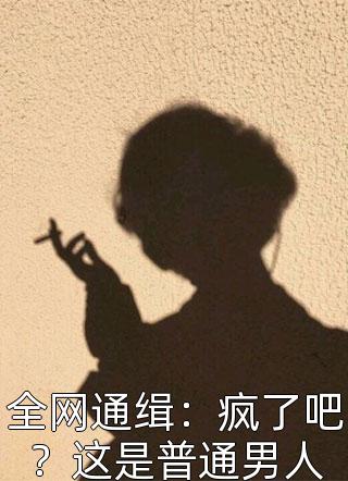 全网通缉：疯了吧？这是普通男人小说