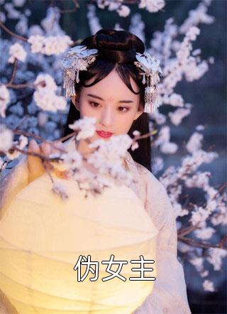 伪女主小说