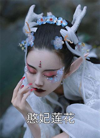 憨妃莲花小说