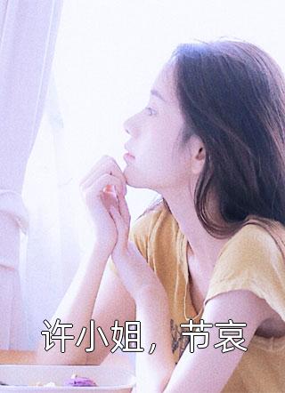 许小姐，节哀小说