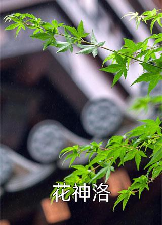 花神洛小说