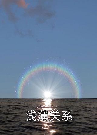 浅薄关系小说