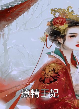 撩精王妃小说