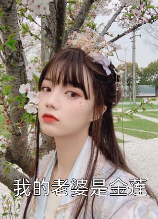 我的老婆是金莲小说