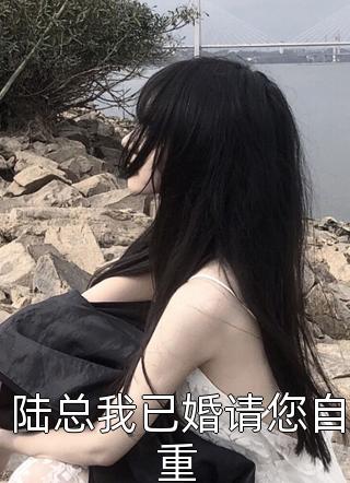 陆总我已婚请您自重小说