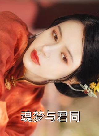 魂梦与君同小说