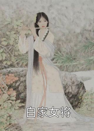 白家女将小说