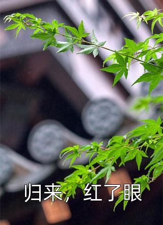 归来，红了眼小说