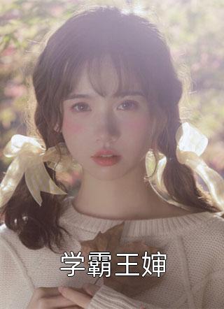 学霸王婶小说