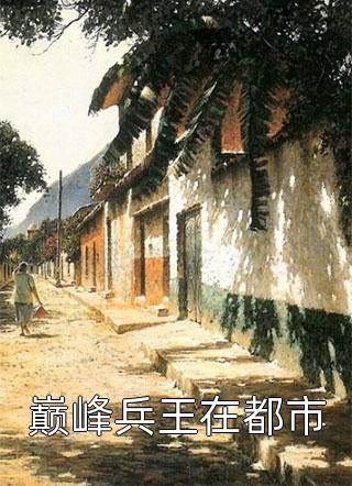 巅峰兵王在都市小说