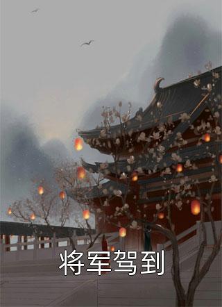 将军驾到小说