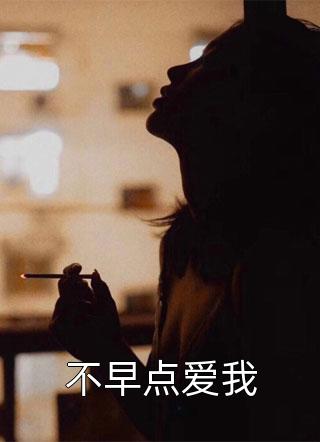 不早点爱我小说