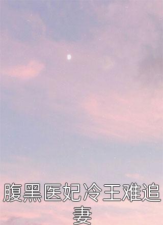 腹黑医妃冷王难追妻小说