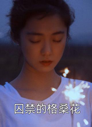 囚禁的格桑花小说