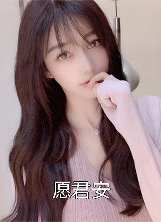 愿君安小说