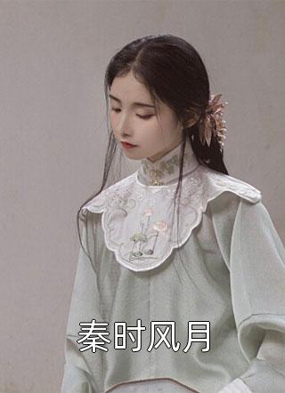 秦时风月小说