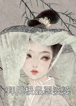 拜见极品恶婆婆小说