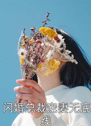 闪婚总裁宠妻无底线小说