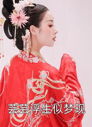 芸芸浮生似梦现小说