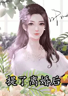 提了离婚后小说