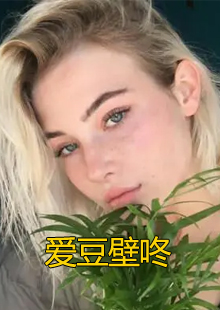 爱豆壁咚小说