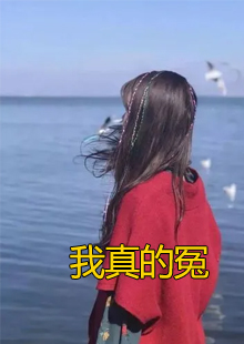 我真的冤小说