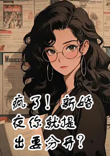 疯了！新婚夜你就提出要分开？小说