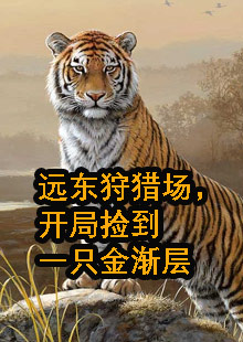 楚雄穿越狩猎场捡到老虎小说名字是什么