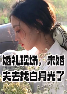 婚礼现场未婚夫去找白月光了小说在哪看