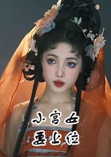 小宫女要上位小说