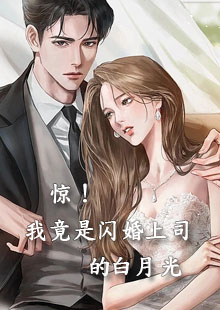 我竟是闪婚上司的白月光小说在哪里看