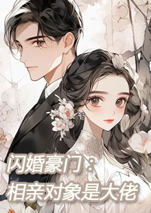 闪婚豪门：相亲对象是大佬小说